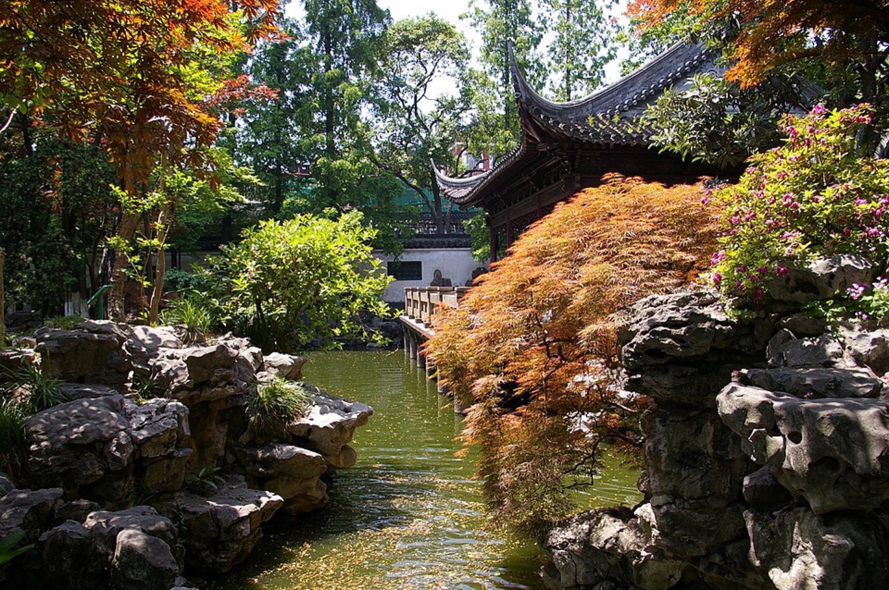 Echoes of the Ancient Silk Road planting collection overview